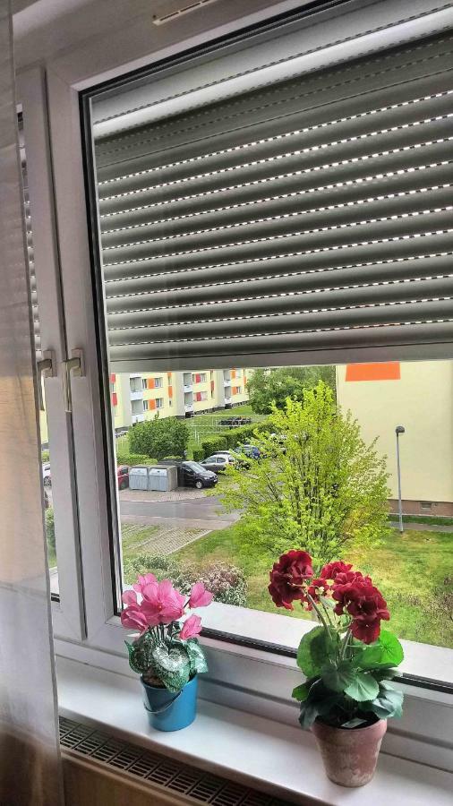 Komfort Ferienwohnungen Zwenkauer See Exterior foto